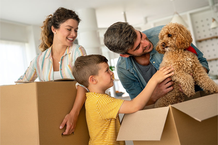 trasloco-con-animali-consigli-e-dritte
